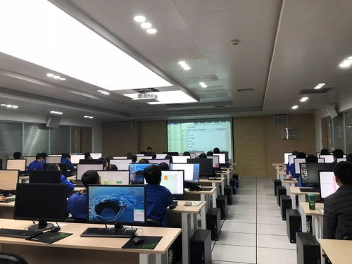 集團舉辦青工常用辦公軟件技能提升培訓與技術比武，賦能軟件技術開發人才成長